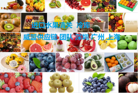 广州进口水果代理清关费用