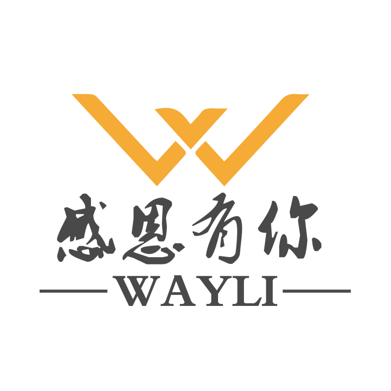 WAYLI电商美国FBA头程海外仓：提升中国物流业的能源效率
