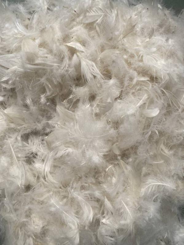 广西鸭毛进口清关的流程和资料，含绒可低于10%